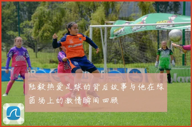 陆毅热爱足球的背后故事与他在绿茵场上的激情瞬间回顾